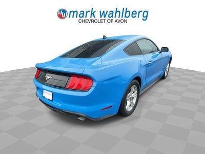 2023 Ford Mustang EcoBoost Fastback