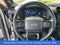 2023 Ford F-150 Lightning Platinum