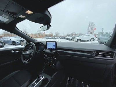 2025 Ford Escape ST-Line