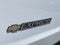 2025 Chevrolet Express Passenger 1LT