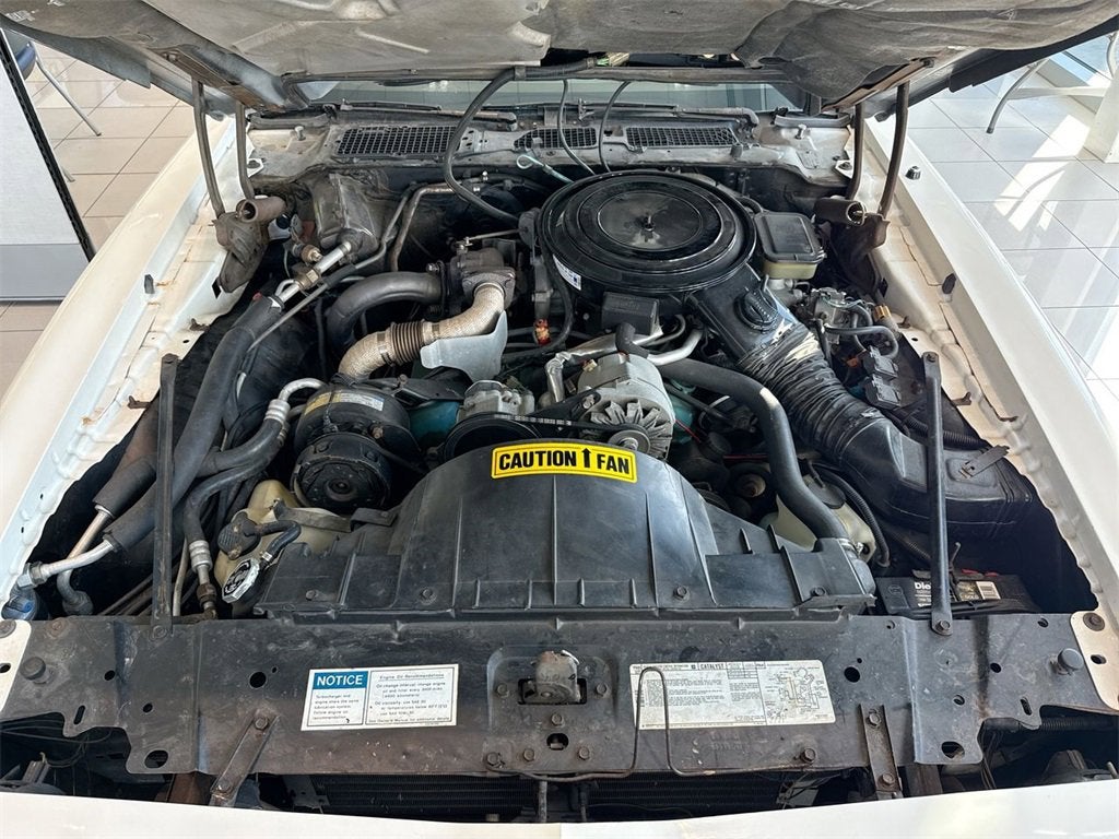 1981 Pontiac Firebird SE