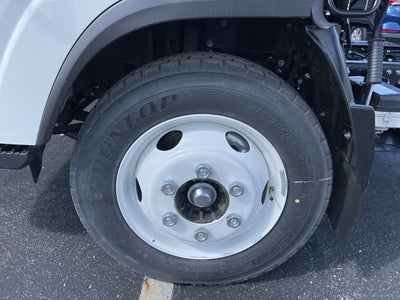 2024 Chevrolet Low Cab Forward 4500 4500