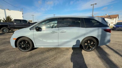 2023 Honda Odyssey Sport