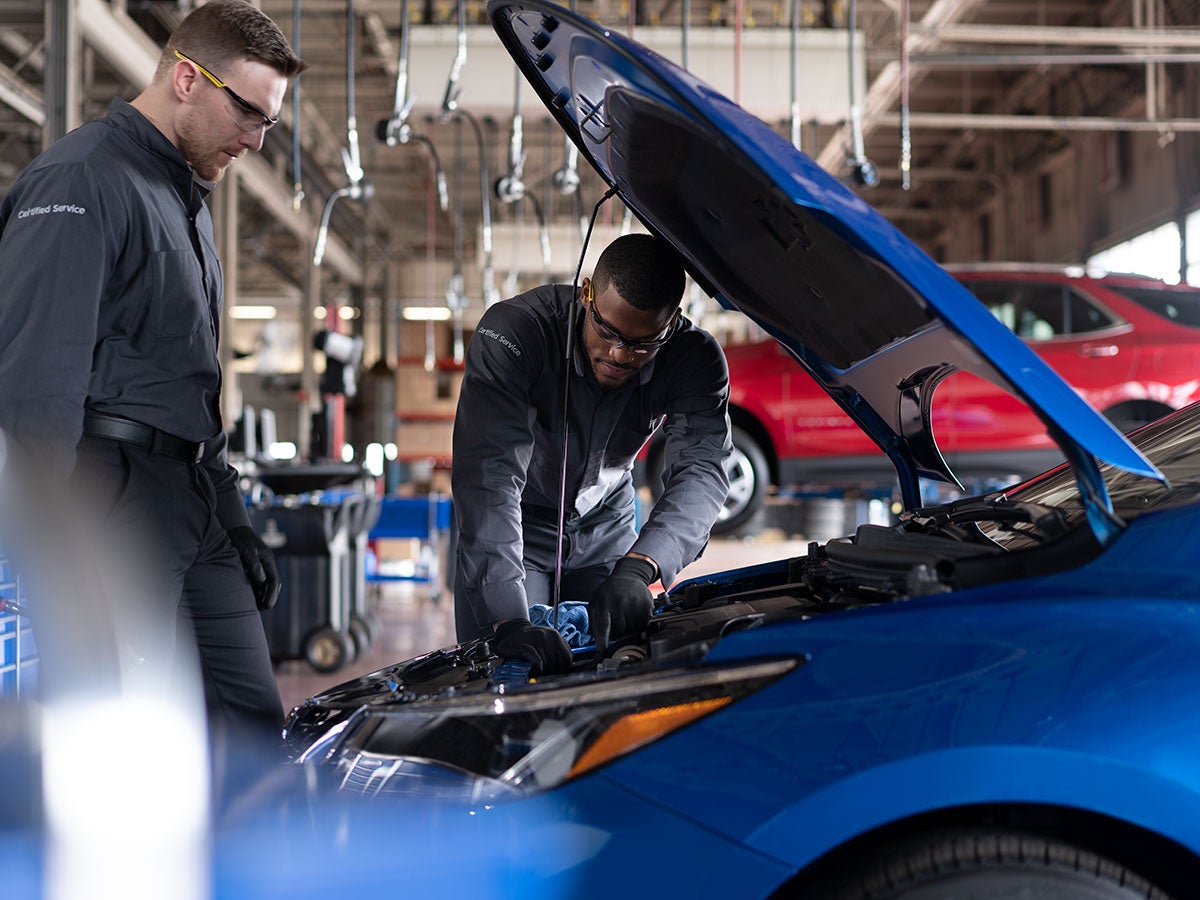 Oil Change near South Lyon